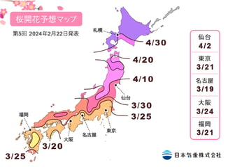 日本櫻花2024-日本氣象株式會社-花期預測