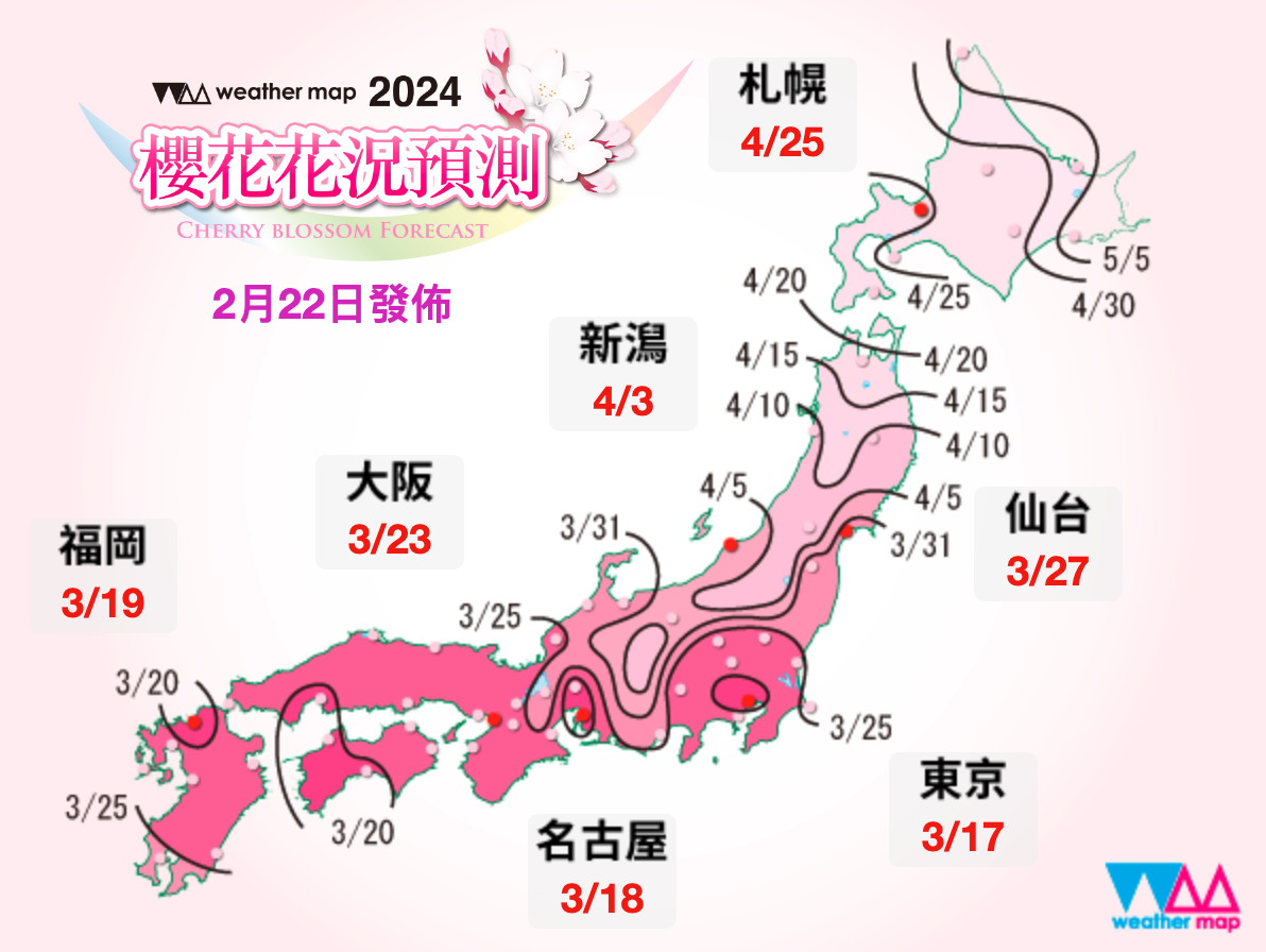 日本櫻花2024-櫻花花況預測