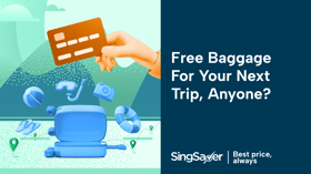 The Best Credit Cards With Free Luggage For You To Acquire