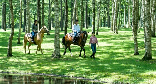 14. Ride horses at the Northern Horse Park