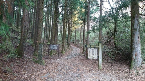 20. Walk the Hakone Stone‐paved Road trail