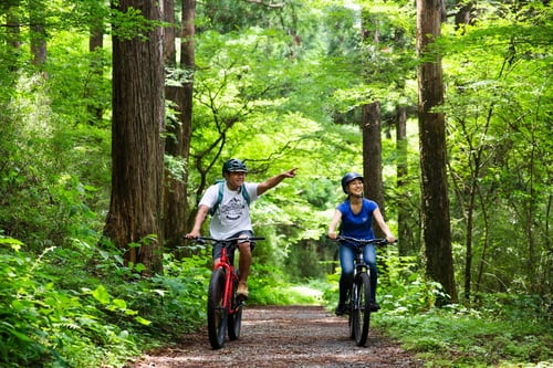 4. Go mountain biking in Sengokuhara