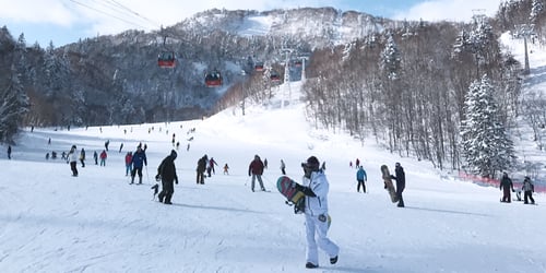 8. Go skiing in Sapporo