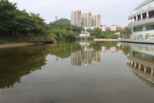 A beautiful Shenzhen tourist spot, you should visit the Shenzhen Garden and Flower Expo Park.