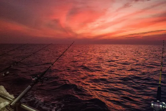 A fishing adventure with a sunset view