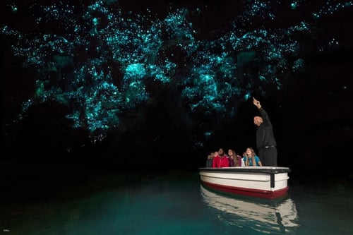A group of people on a boat tour through a cave illuminated by glowworms in New Zealand.