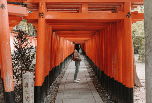 A lady tourist taking photo in Fushimi Inari Shrine, a famous attraction in Kyoto