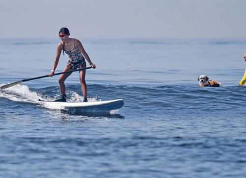 A lady trying Stand-Up Paddleboarding (SUP) activity at Sanur Beach in Bali and the dog was impressed