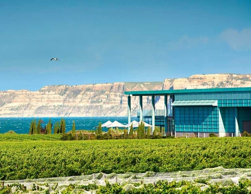 A modern restaurant with floor-to-ceiling windows overlooking a vineyard and the Pacific Ocean.