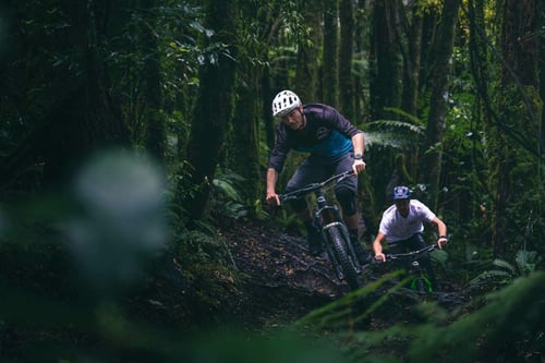 A mountain biker riding through a scenic forest trail in New Zealand, with lush greenery in the background.