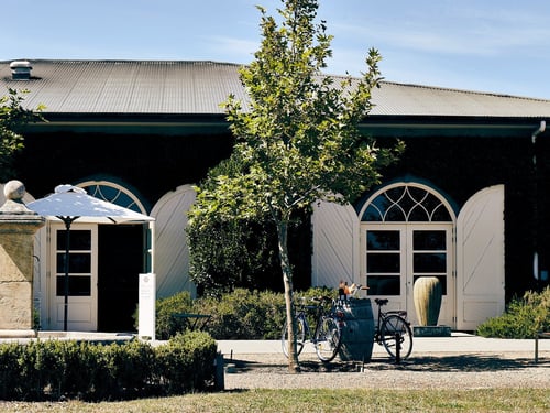 A serene vineyard setting with a charming building, bicycles parked outside, and a tree providing shade.