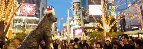 A shot that implies the Hachiko Statue looking at the busy Shibuya Crossing