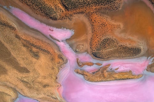 A vibrant aerial view of a pink salt lake contrasted with earthy brown tones.