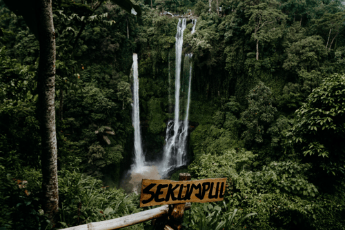 A view of Sekumpul Waterfalls in Bali