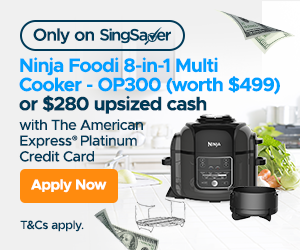 AMEX_PLAT_NINJAFOODI_BLOG ARTICLE_300x250