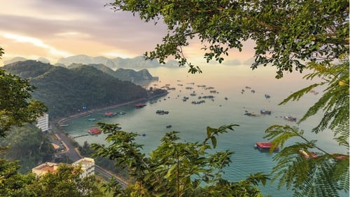 Aerial view of Cat Ba Island showcasing lush forests and surrounding turquoise waters.