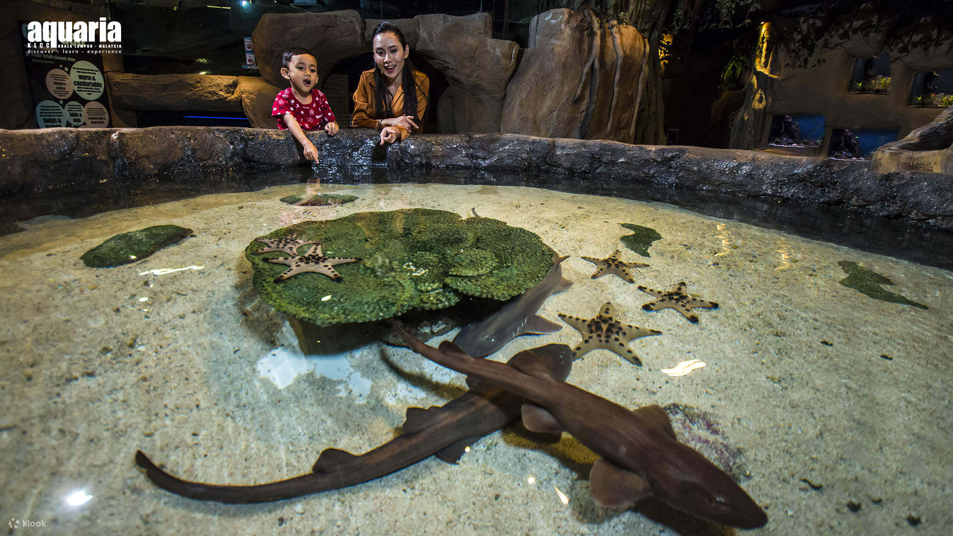 Aquaria KLCC, an oceanarium tourist attraction in Malaysia