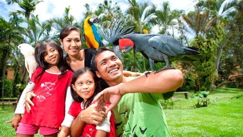 Bali Bird Park, a family-friendly attraction in Ubud