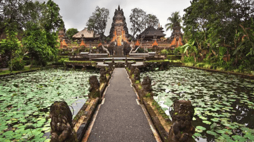 Beautiful lotuses outside Ubud Palace, a top attraction in Bali