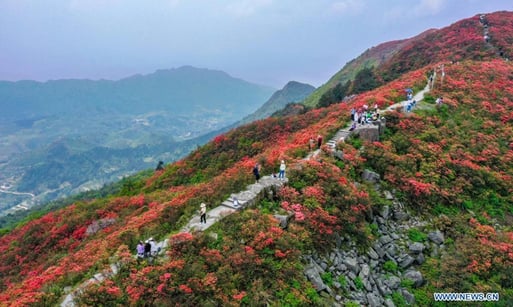 Besides scenic views, Longquan Mountain offers fun things to do in Chengdu for tourists as well.