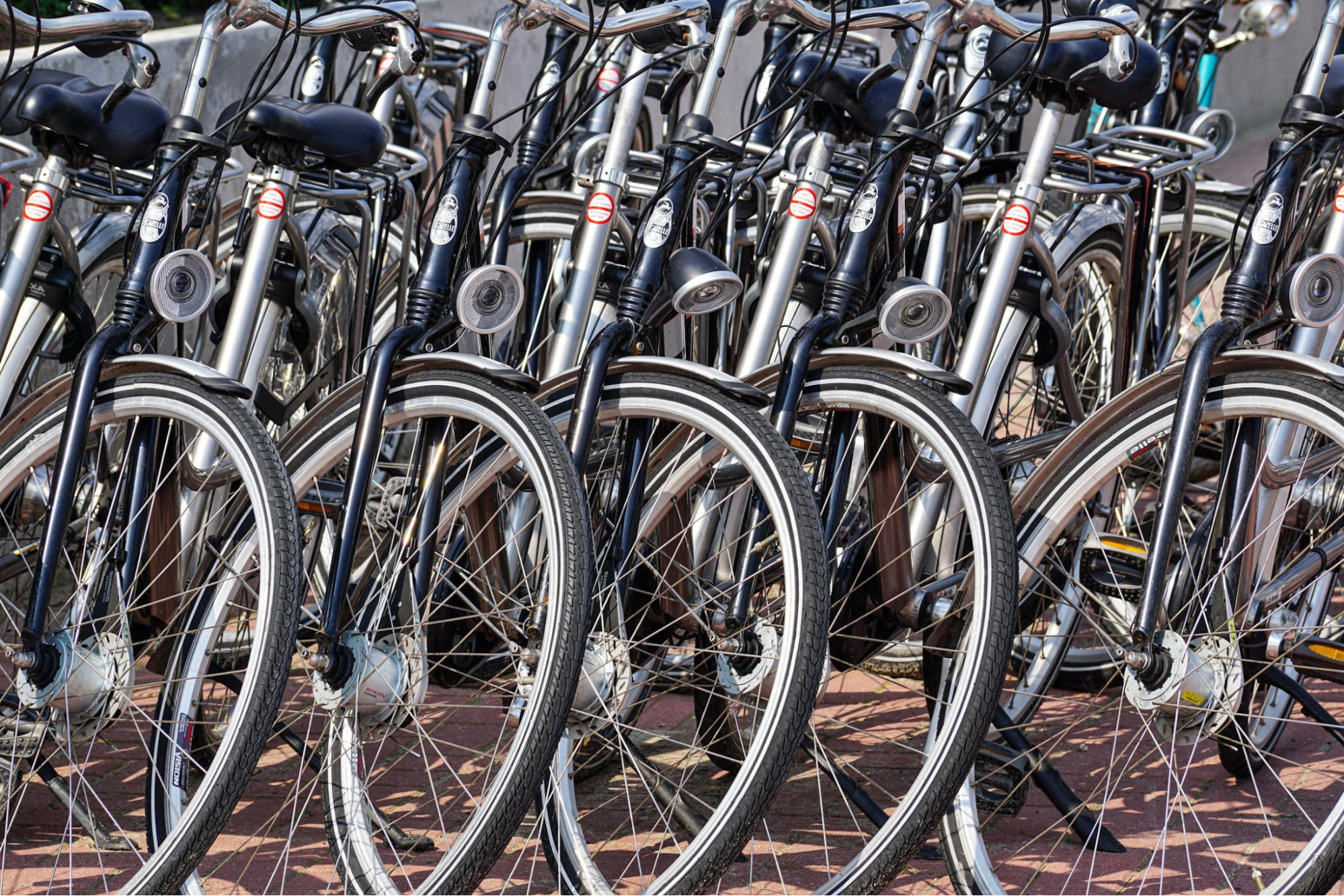 Bicycles parked neatly together