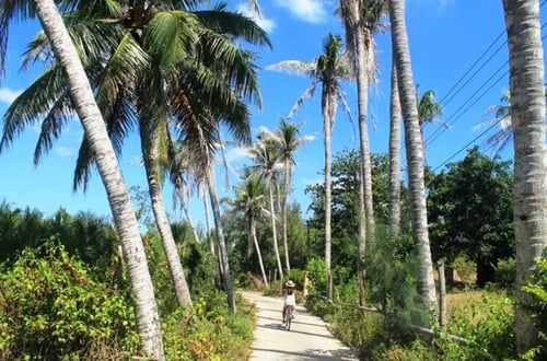 Cam Nam Island in Hoi An