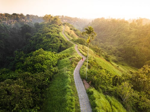 Campuhan Ridge Walk, one of the main attractions in Ubud