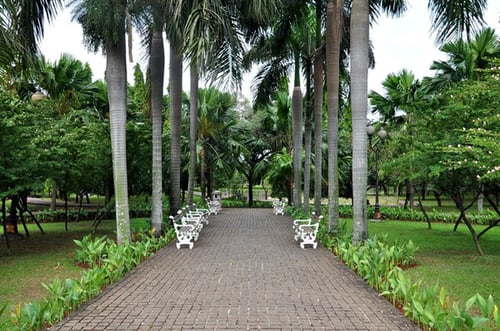 Cattleya Park Jakarta