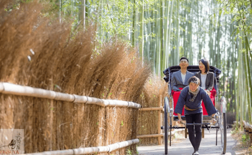Couple enjoying the scenery during their rickshaw activities in Kyoto