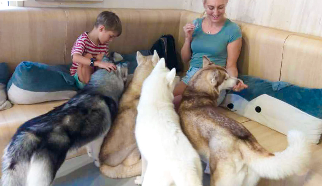 Customers and dogs at the Huskitory in Melaka, a fun attraction