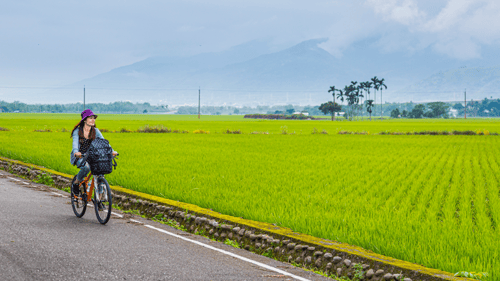 Cyclist riding on a path in Guanshan Township, Taitung