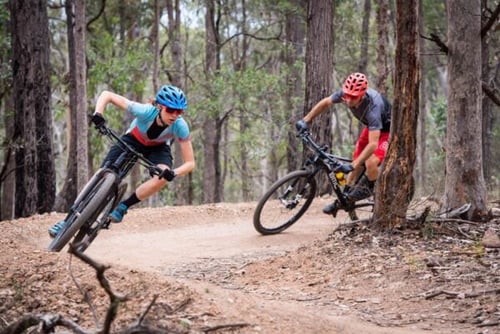 Cyclists navigating the diverse trails at Daisy Hill Conservation Park, surrounded by natural bushland