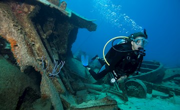 Divers exploring the vibrant underwater world around the Tangalooma Wrecks