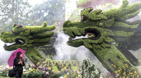 Dragon Shrubs at Hangzhou Botanical Garden