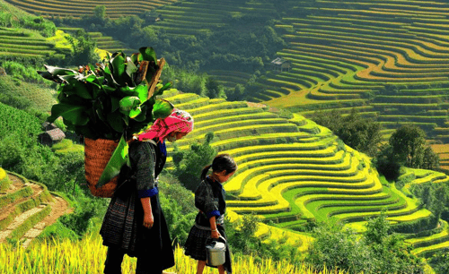 Embark on a private tour of Ta Phin Village, a must-see attraction in Sapa, Vietnam, to immerse yourself in the local culture and traditions.