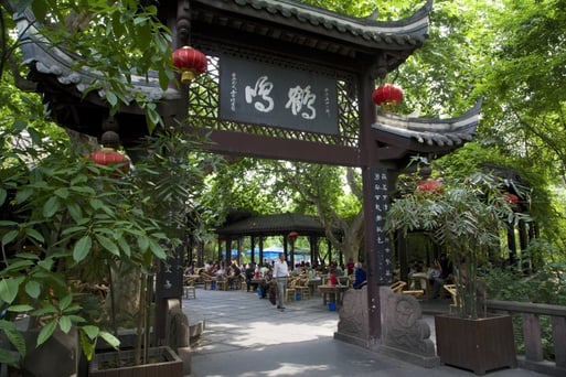 Engaging in traditional tea tasting at Heming Teahouse, a cultural thing to do in Chengdu.