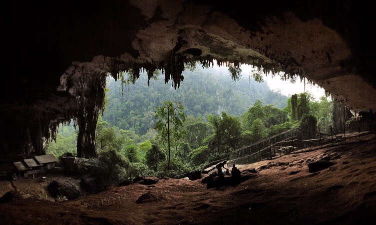 Explore the stunning limestone formations at Niah National Park