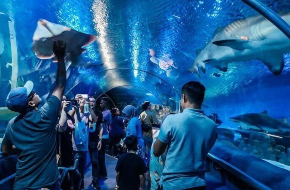 Families looking at fishes with kids at Aquaria KLCC, one of the top things to do in KL