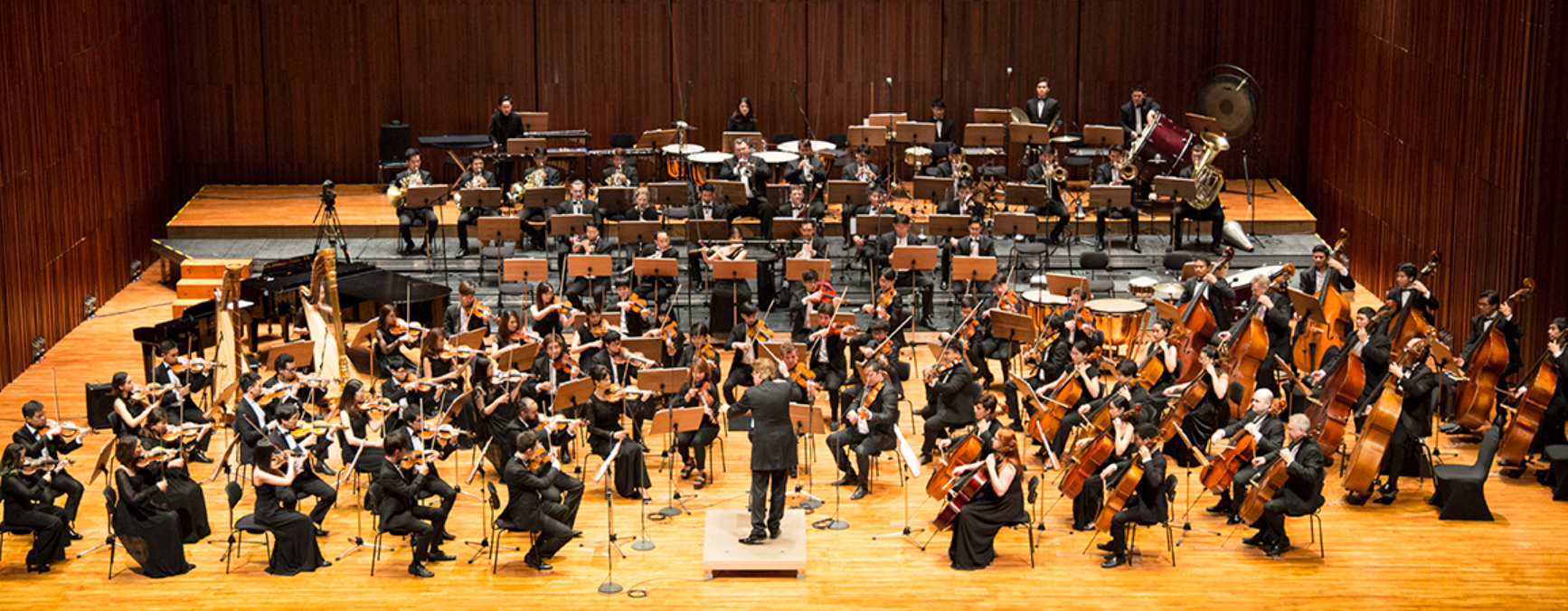 For a cool thing to do in Thailand, attend a performance by the world-renowned Thailand Philharmonic Orchestra at Prince Mahidol Hall.