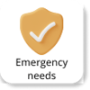emergency needs