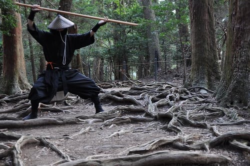 Go on a Ninja trekking tour at Mt. Daimonji to learn about the history and techniques of ninjas