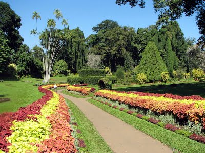 Greenery at the Malacca Botanical Garden, a popular attraction in the city