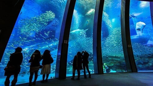 Hakkeijima Sea Paradise, an amusement park with an aquarium and rides