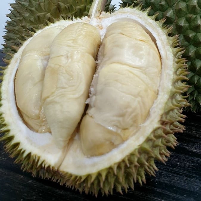durian-types-cheap-budget-05