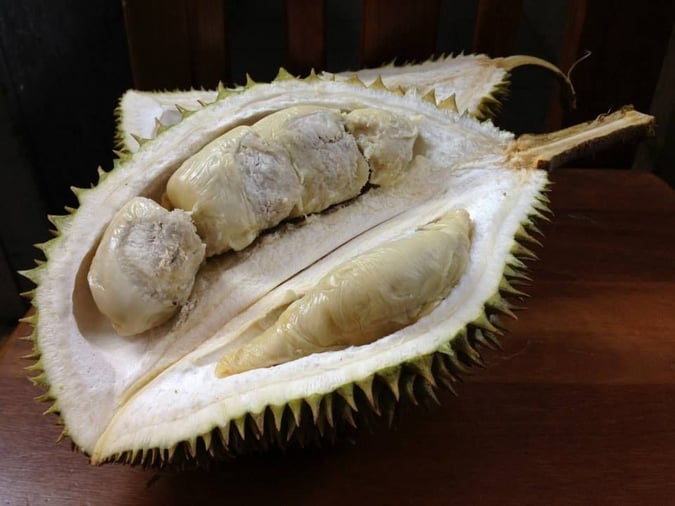 durian-types-cheap-budget-07