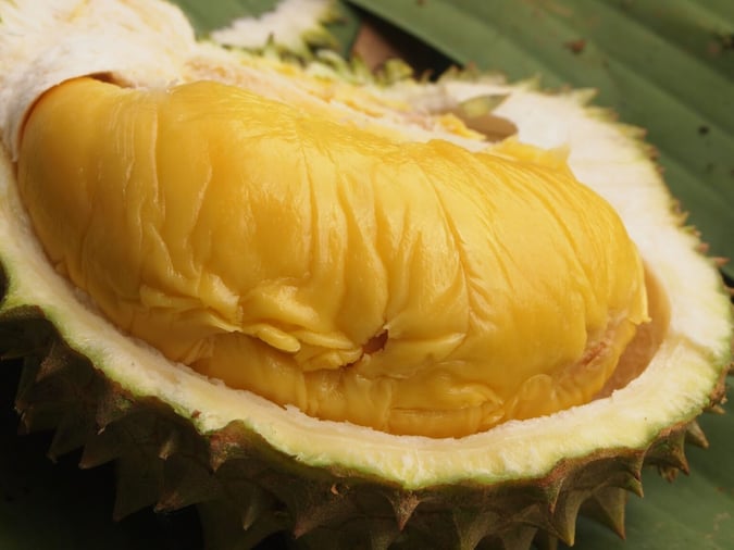 durian-types-cheap-budget-08-1536x1152
