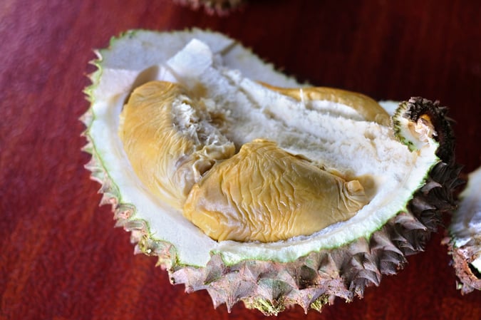 durian-types-cheap-budget-10