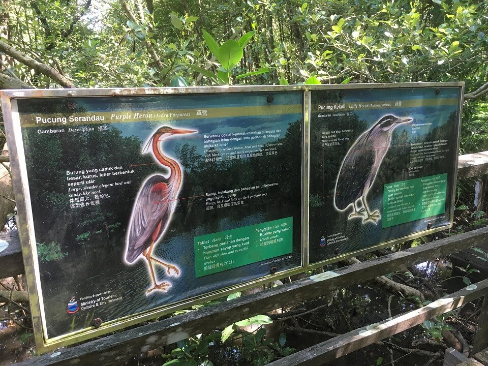 Information board featuring birds at Kota Kinabalu Wetland Centre