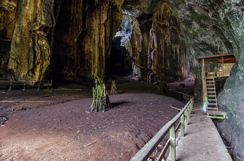 Inside the Gomantong Cave in Sabah, a hidden tourist attraction