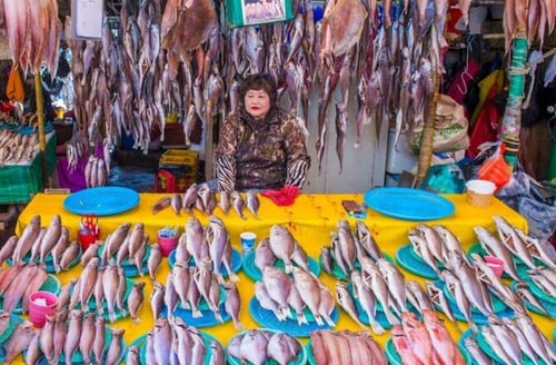 Jagalchi Fish Market in South Korea